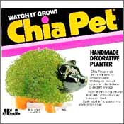 Chia Pig